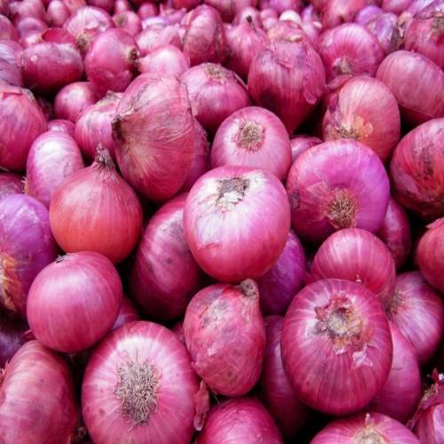 New Project - 2022-03-03T172709.424