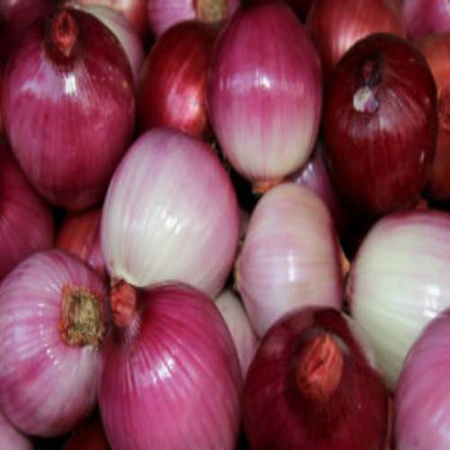 New Project - 2022-03-03T172922.286