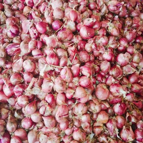 New Project - 2022-03-03T174121.148