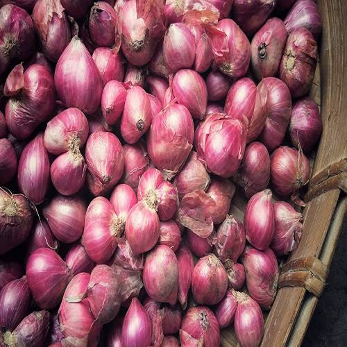 New Project - 2022-03-03T174201.668