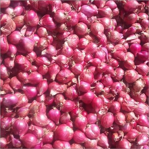 New Project - 2022-03-03T174216.684